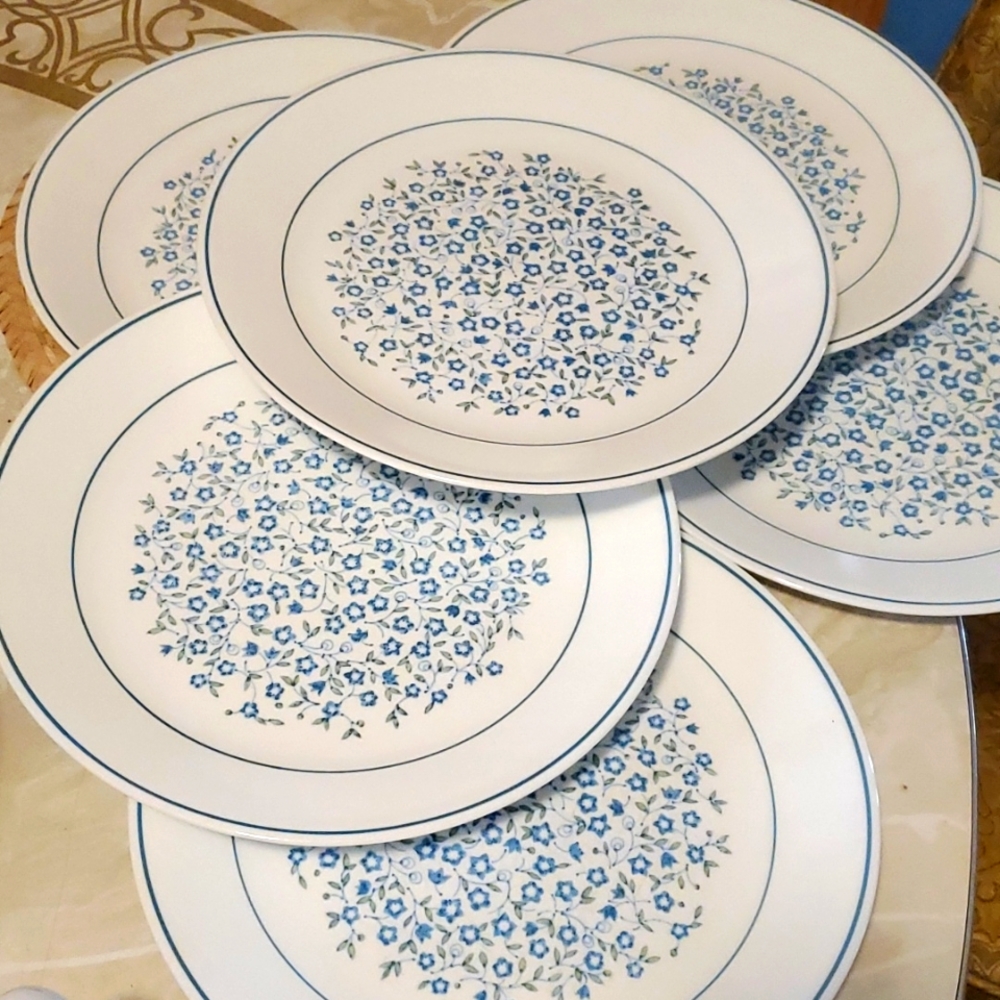 Corelle Dinner Plates